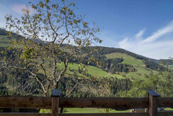 Ein wunderbares Panorama