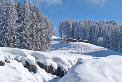 WintertraumNL15.2.2025