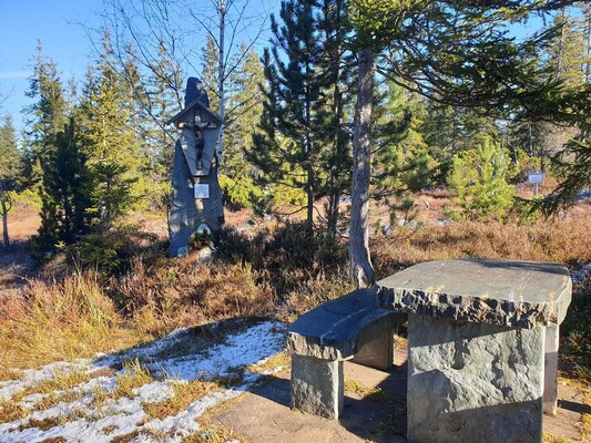 20241201_111223