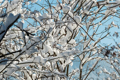 Winterlandschaft FG TimeShot Rechte Wildschönau To