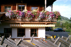 Foto für Prospekt 015