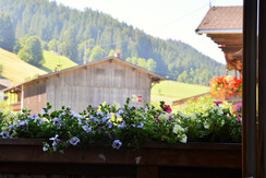 Ausblick ZImmer Westseite