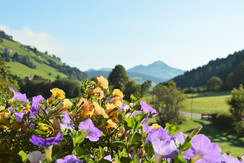Sicht auf die Hohe Salve