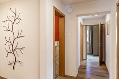 62706234-Marchegg-Bienenwiese-10_250405-171327886-