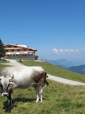 Schatzberg Auffach (5)