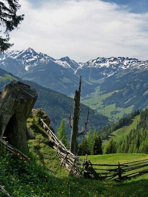 auf dem Weg zum Gratlspitz-Schmid Hermann Rechte T