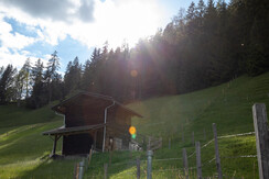 Tradlhof/Thierbach/Wildschönau/Tirol