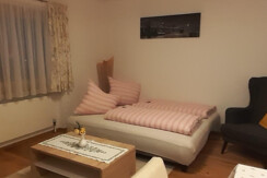 Wohnzimmer mit Schlafchouch