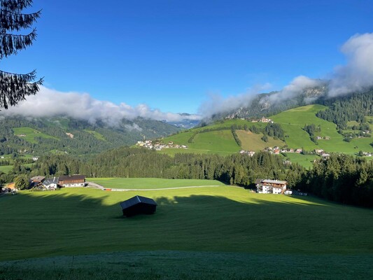 Außenansicht Wald oben